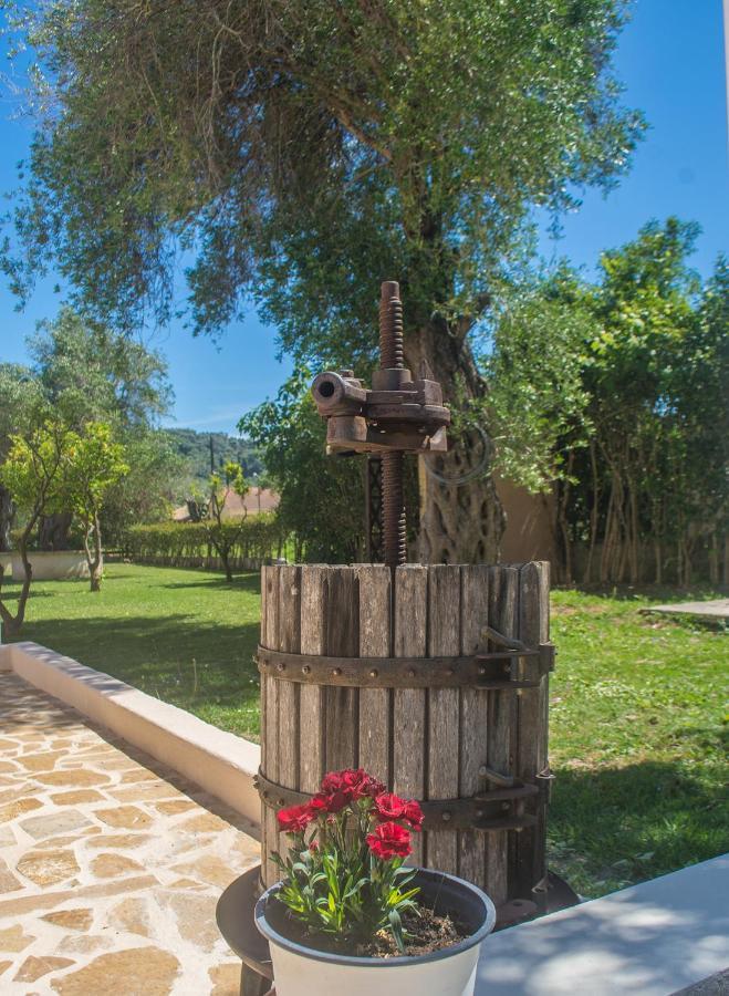 Corfu Palmar Hotel Σιδάρι Εξωτερικό φωτογραφία
